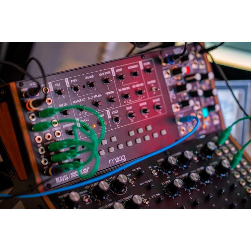 Moog Mavis