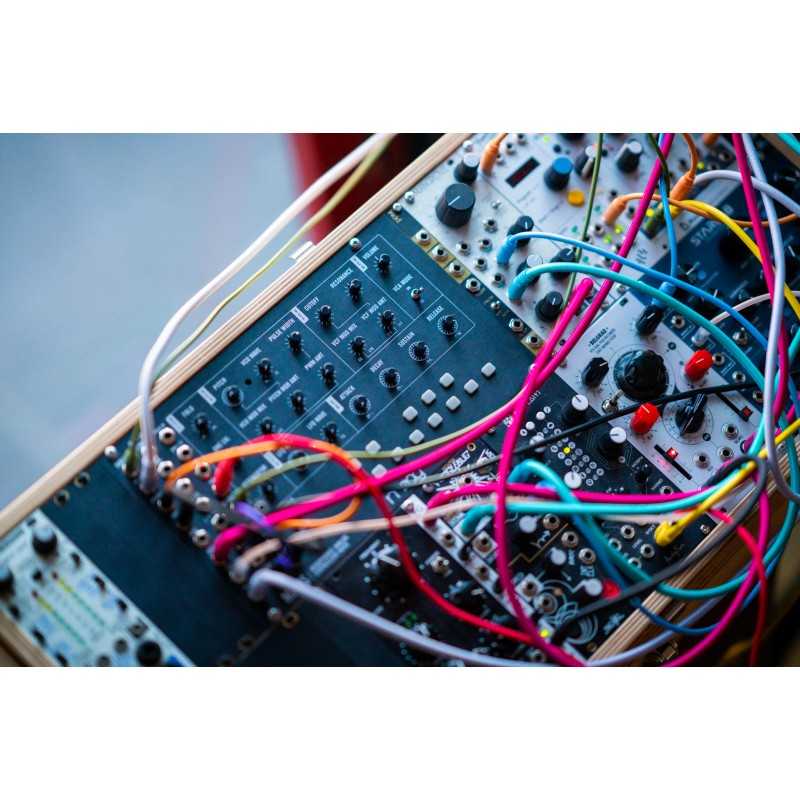 Moog Mavis