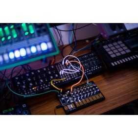 Moog Mavis
