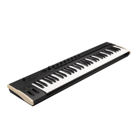 Korg Keystage 61