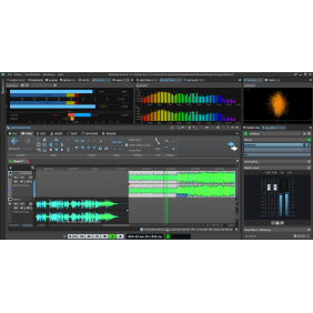 Steinberg WaveLab Elements 12