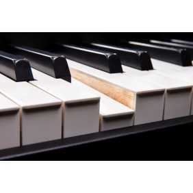 Roland Fantom 8 EX