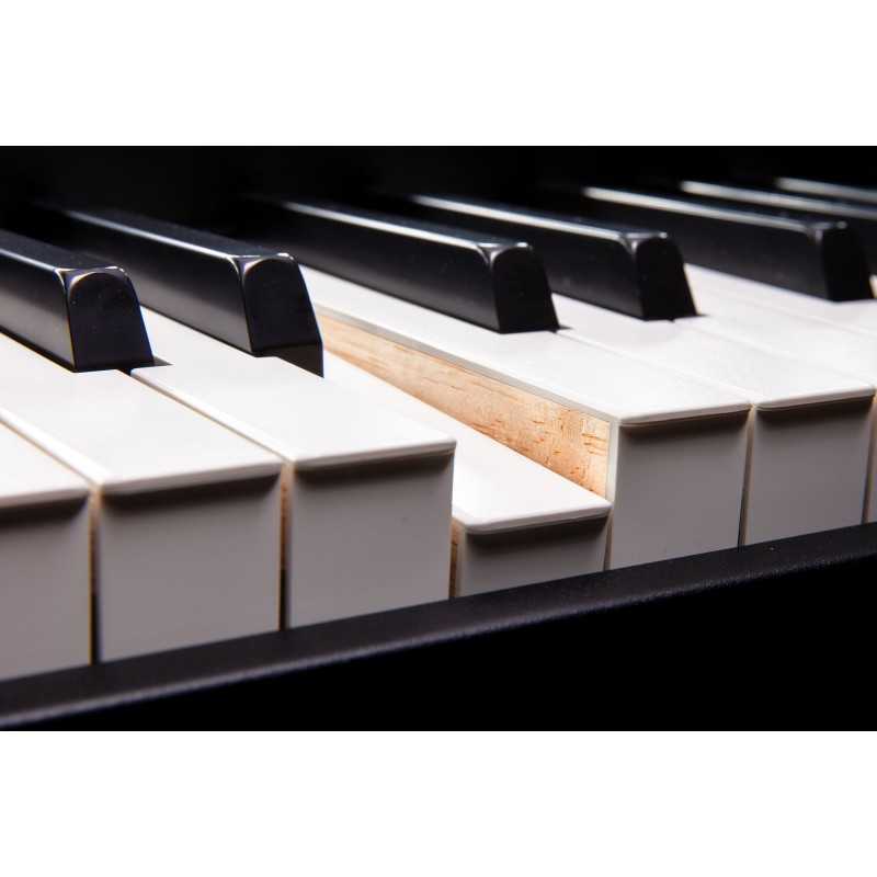 Roland Fantom 8 EX