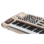 Arturia PolyBrute 12