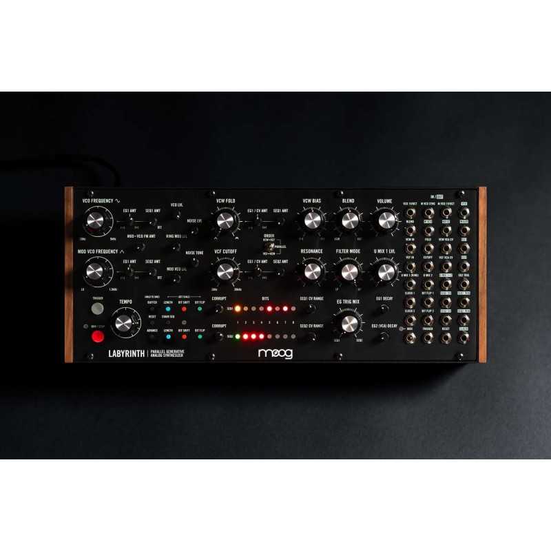 Moog Labyrinth