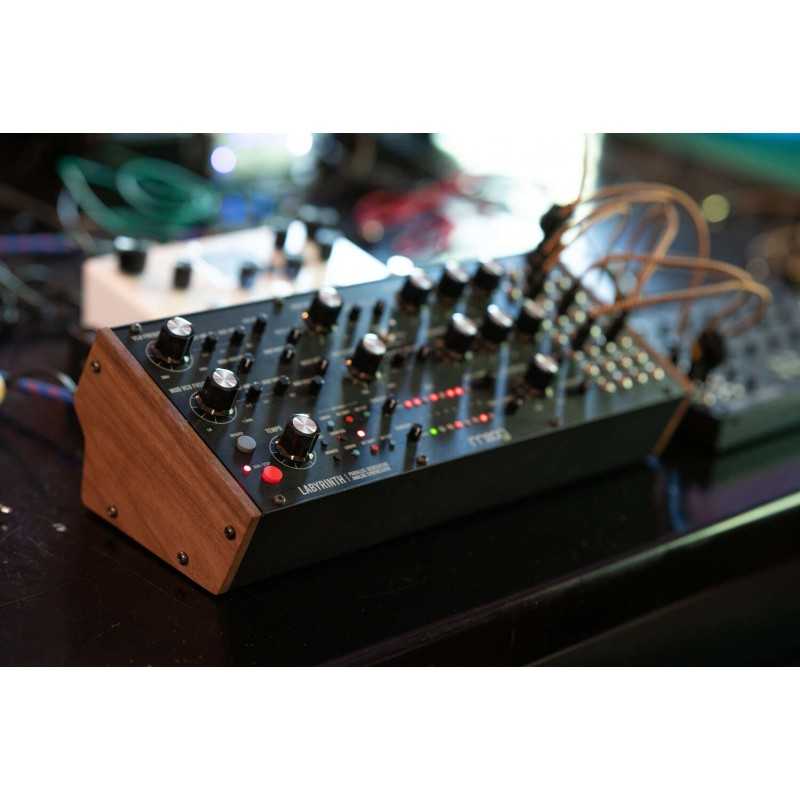 Moog Labyrinth