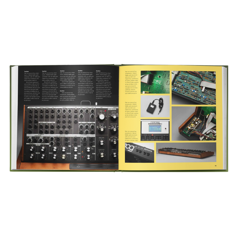 Bjooks The Minimoog Book