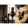 Shure SM4