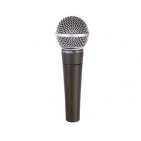 Shure SM58SE mit Schalter