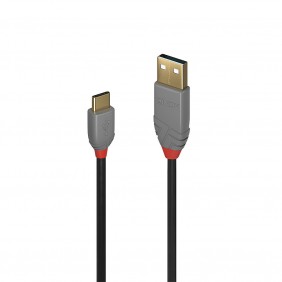 Lindy USB 2.0 C Male auf A Male Kabel 2 Meter