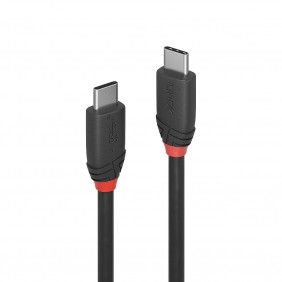 Lindy USB 3.1 C male auf C male Kabel 1 Meter